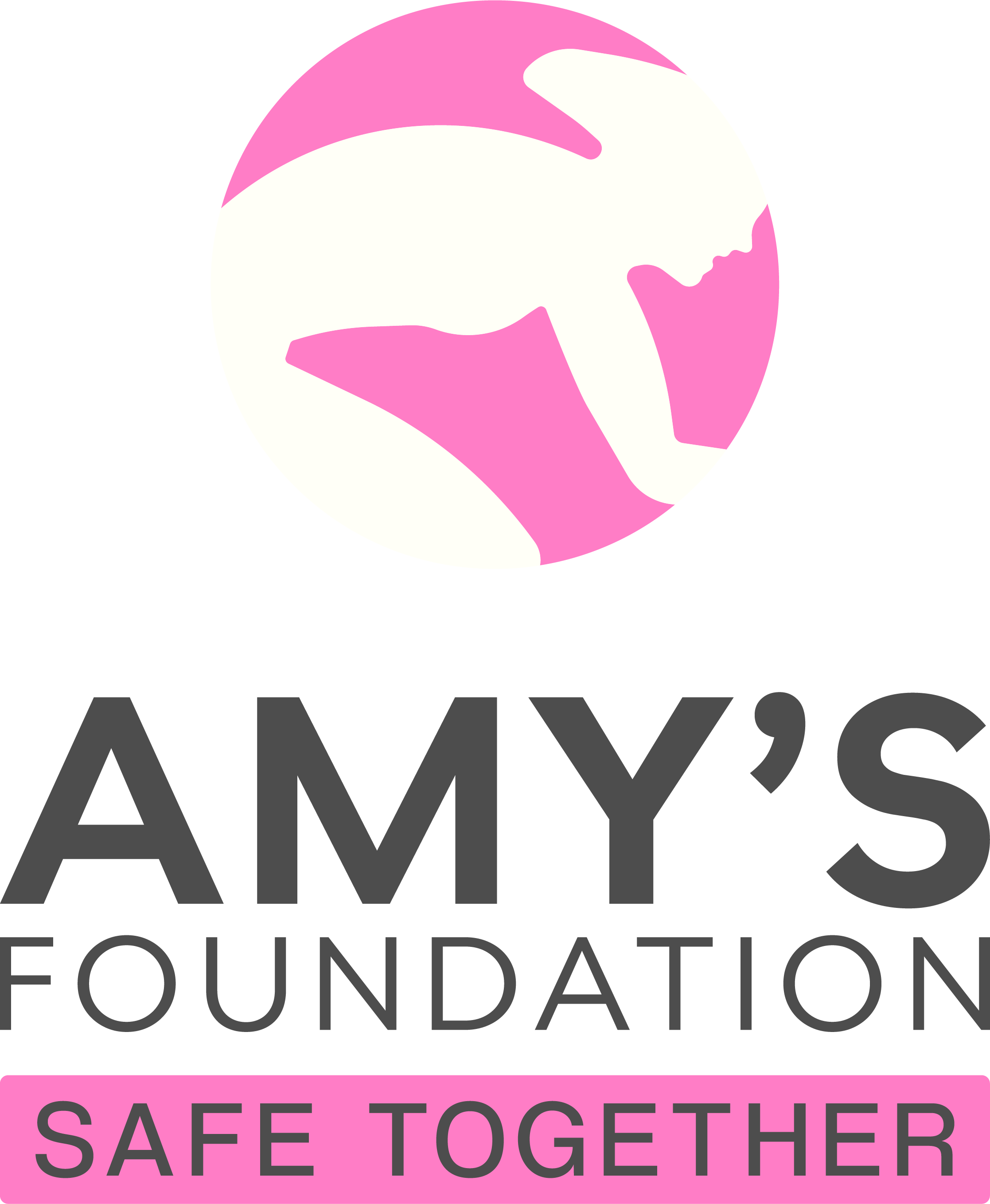 Amy’s Foundation