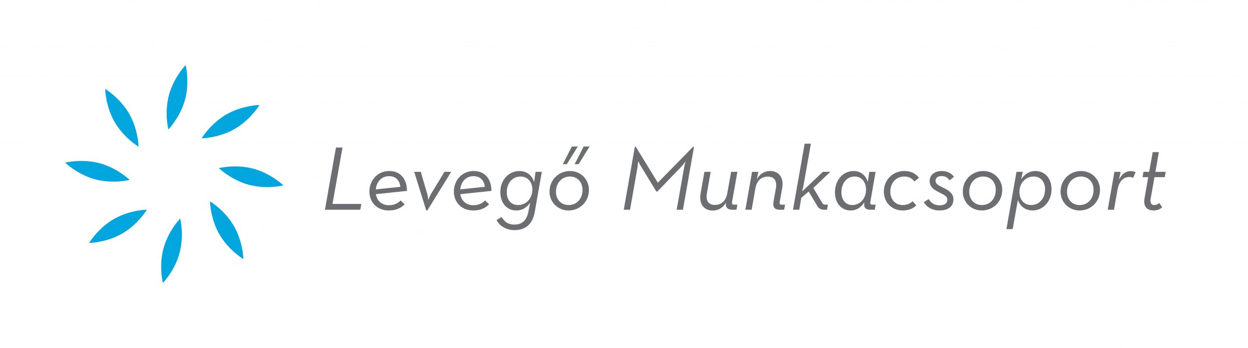 Clean Air Action Group